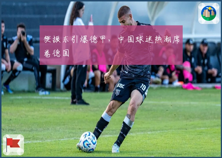 樊振东引爆德甲，中国球迷热潮席卷德国