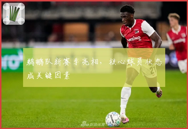 鹈鹕队新赛季亮相，核心球员状态成关键因素