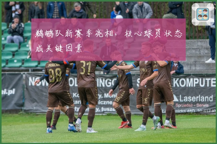 鹈鹕队新赛季亮相，核心球员状态成关键因素